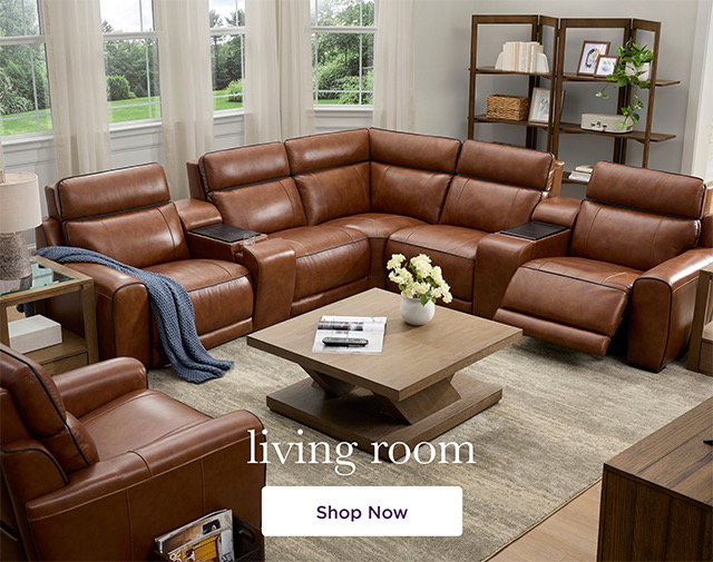 Living Room - Shop Now