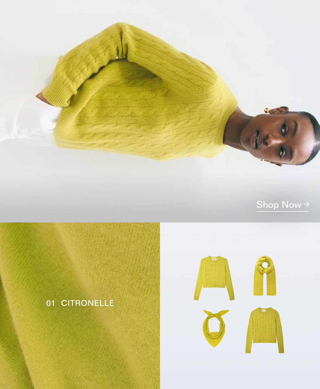 shop now
