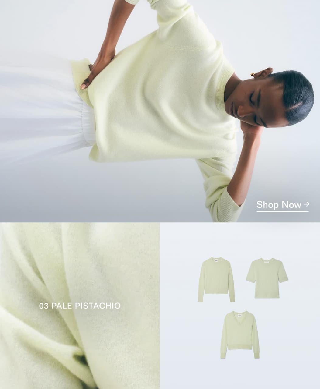 shop now
