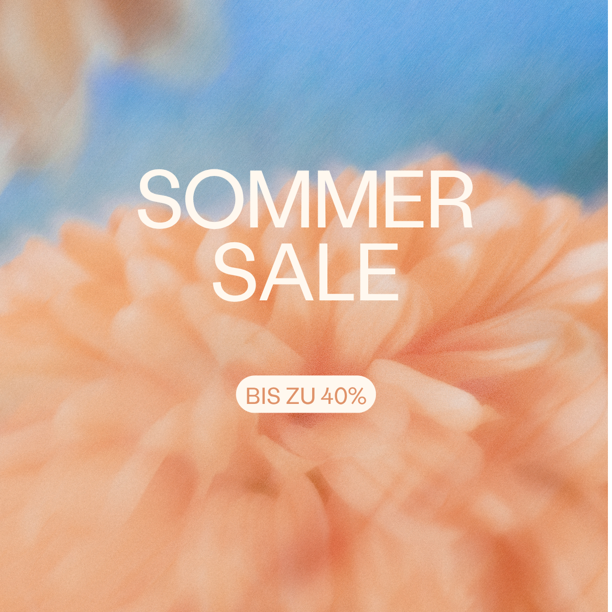 Newsletter Header