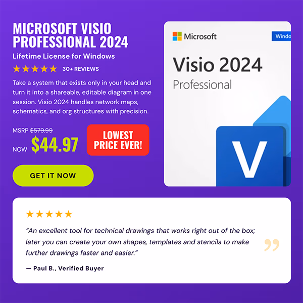 Microsoft Visio Professional 2024: Lifetime License for Windows