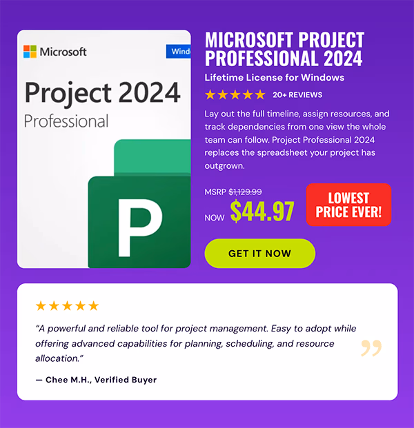 Microsoft Project Professional 2024: Lifetime License for Windows