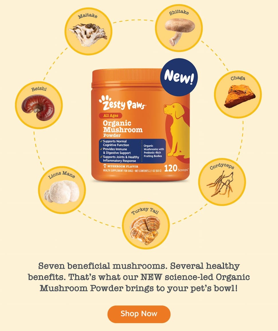 Seven beneficial mushrooms. Several healthy benefits. That's what our NEW science-led Organic Mushroom Powder brings to your pet's bowl! Shop now