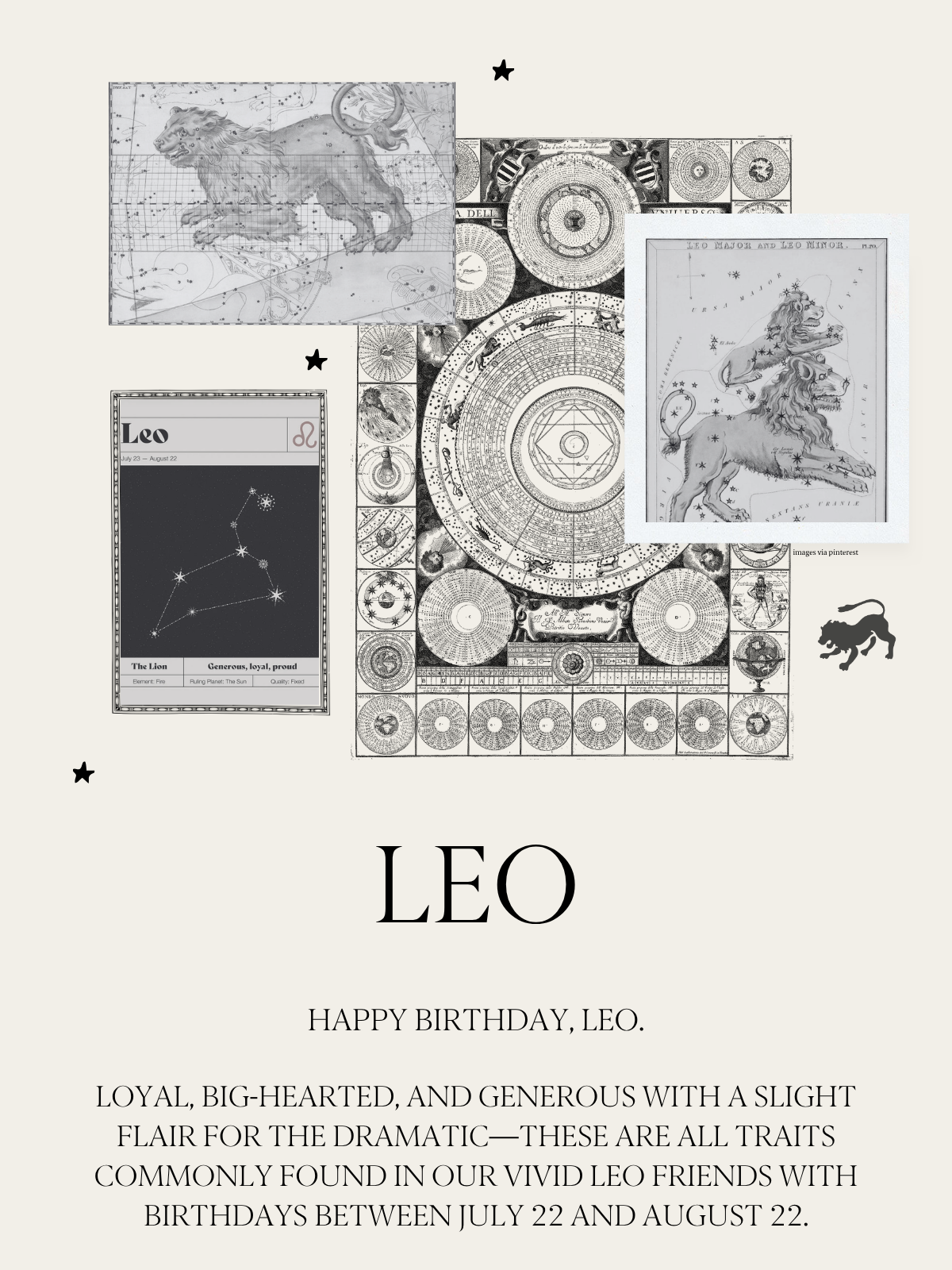Leo Zodiac Collage