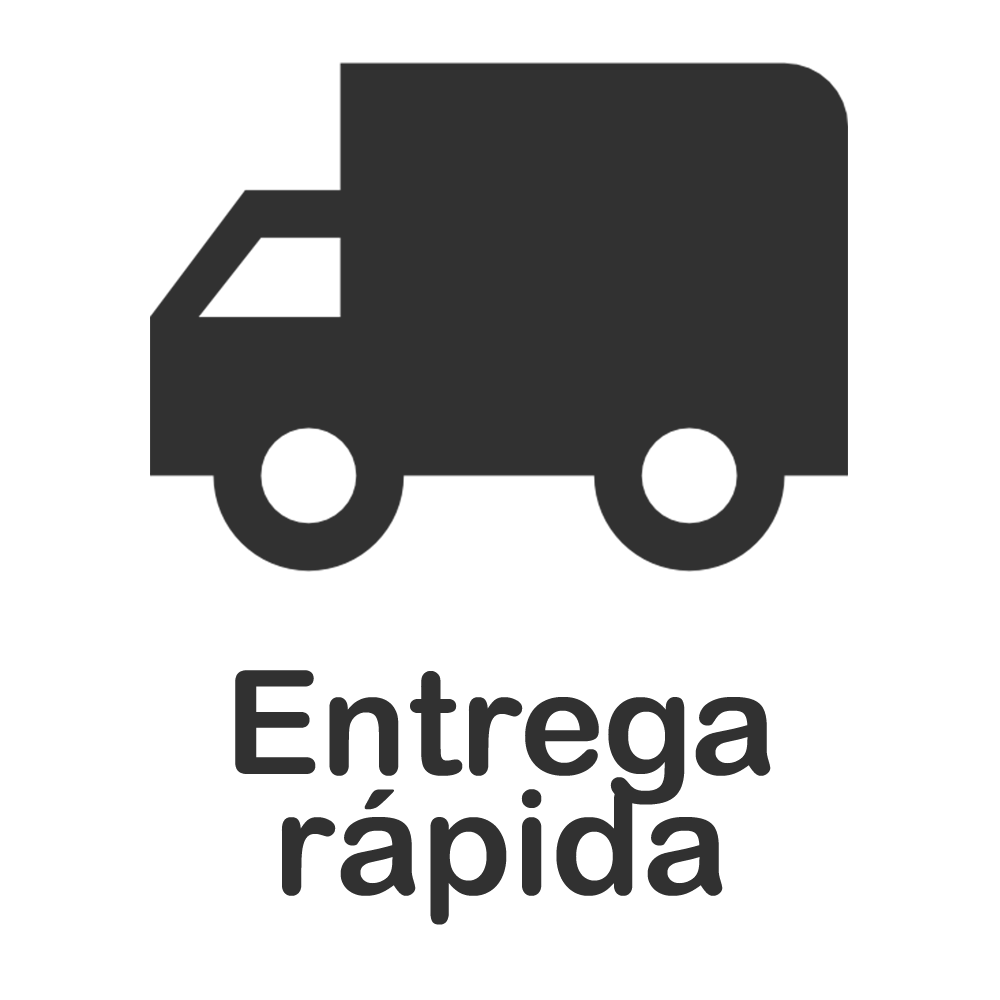 entrega rápida
