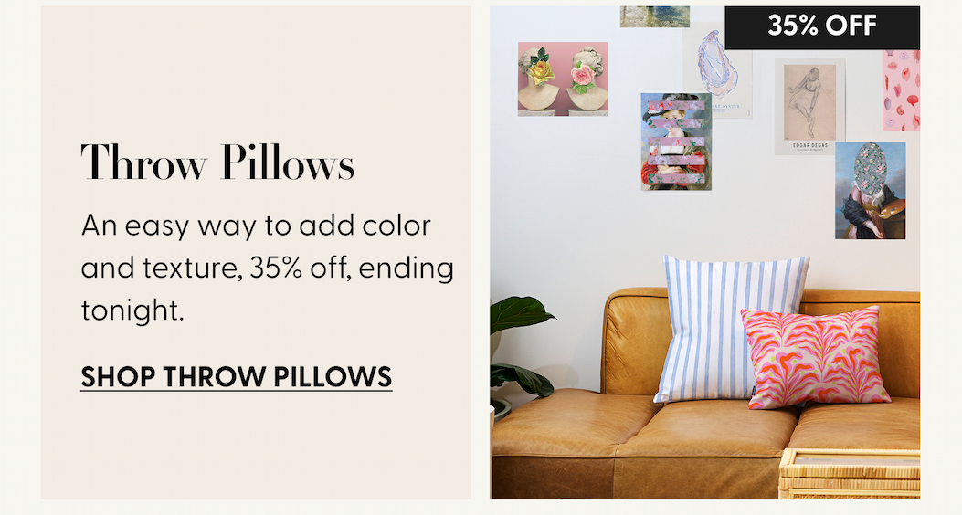 Shop Throw Pillows