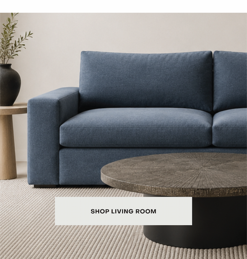 Shop Living Room