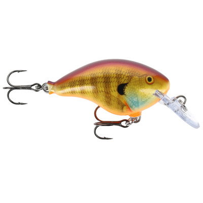 Rapala DT Dives-To Crankbait - Purple Sungill