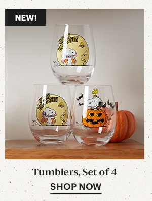 Tumblers, Set of 4  SHOP NOW