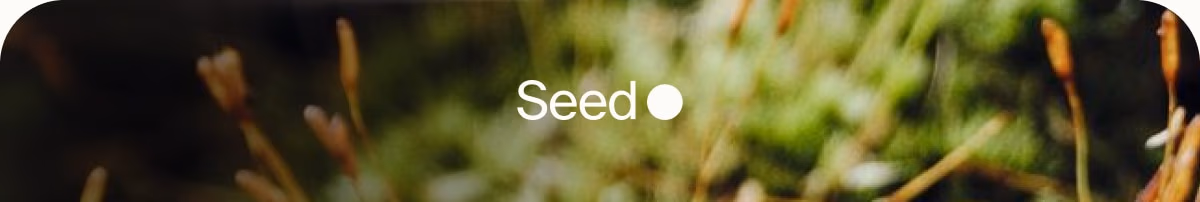 Seed