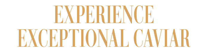 EXPERIENCE EXCEPTIONAL CAVIAR