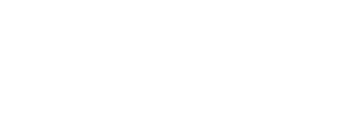 Shop SonicElectronix.com