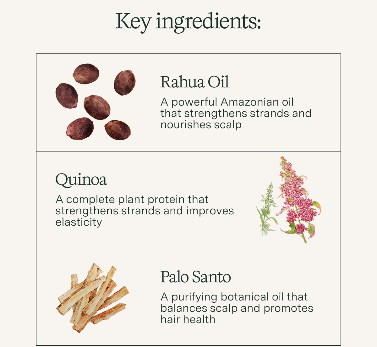 Key Ingredients