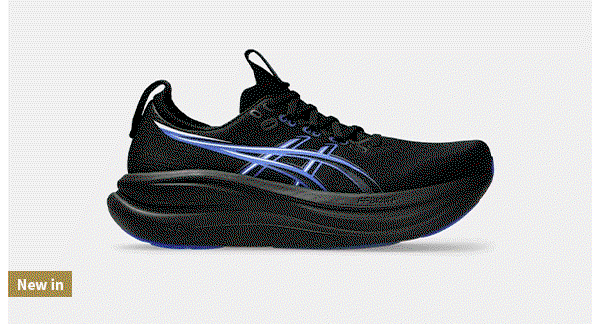 Asics Nimbus 28