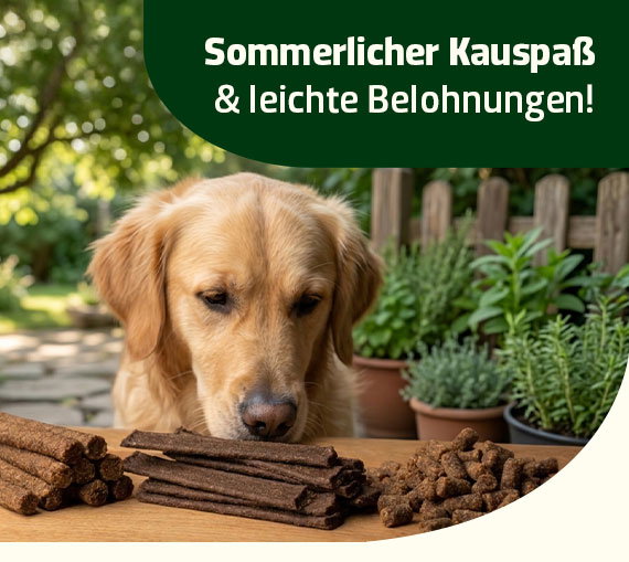 Kauartikel & Hundekuchen