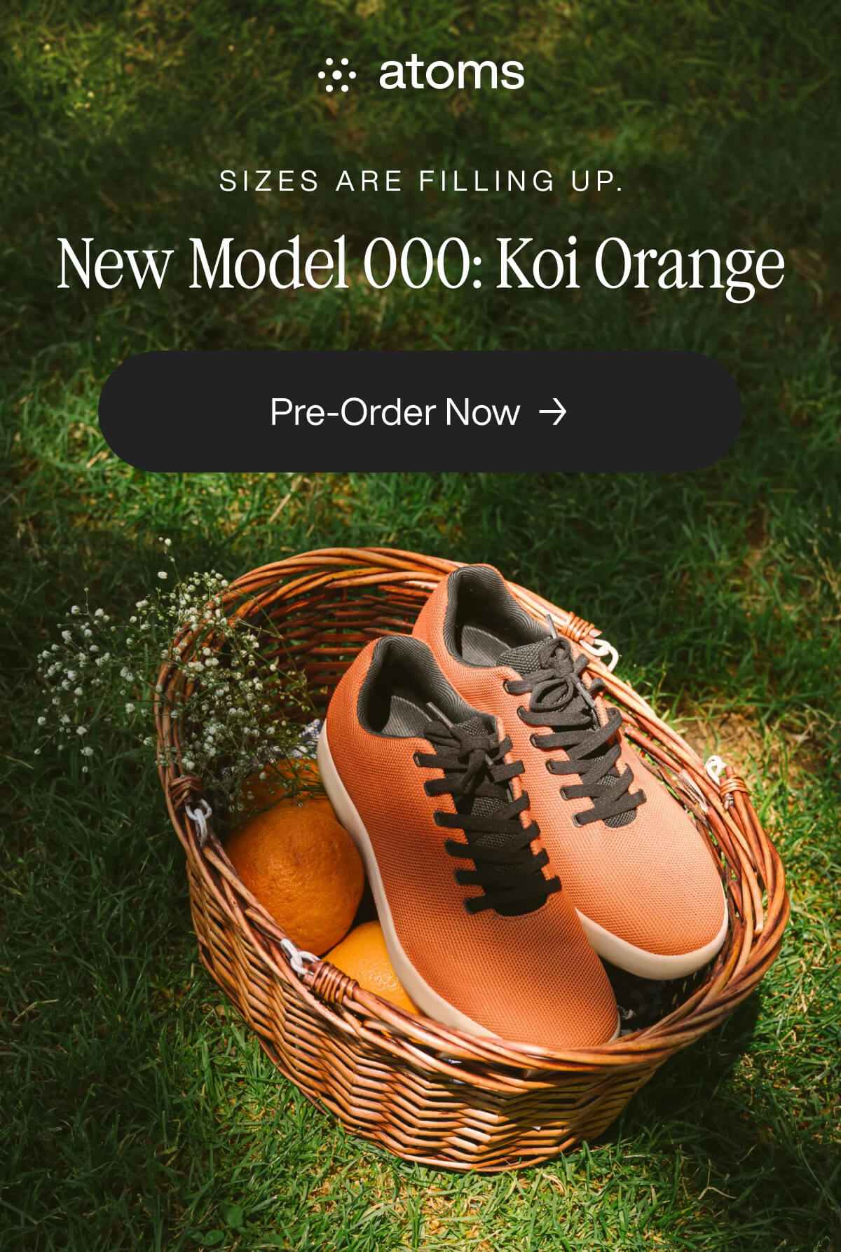 "Orange sneakers in a basket on grass, promoting Atoms Model 000: Koi Orange. Pre-order now as sizes fill up."