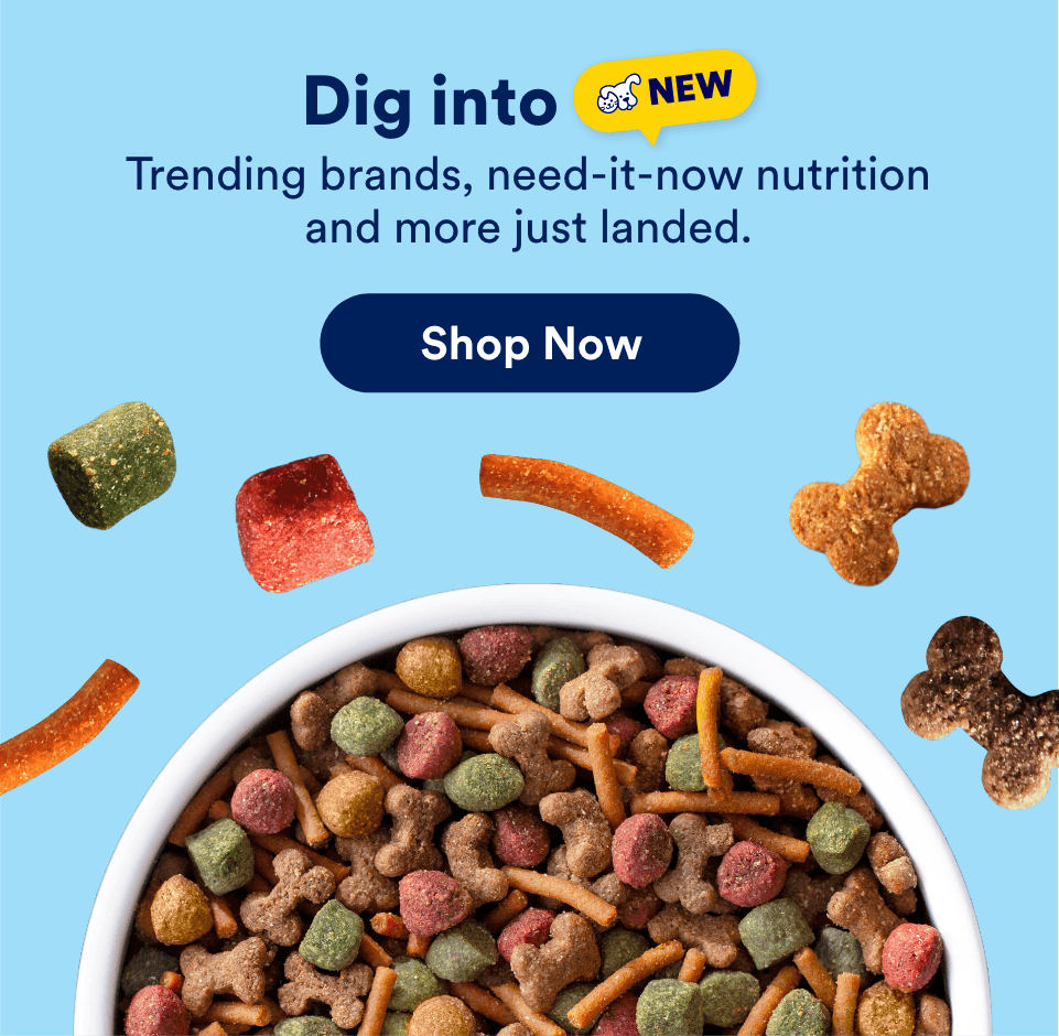 Dig into NEW. Trending brands, need-it-now nutrition and more just landed. Shop Now