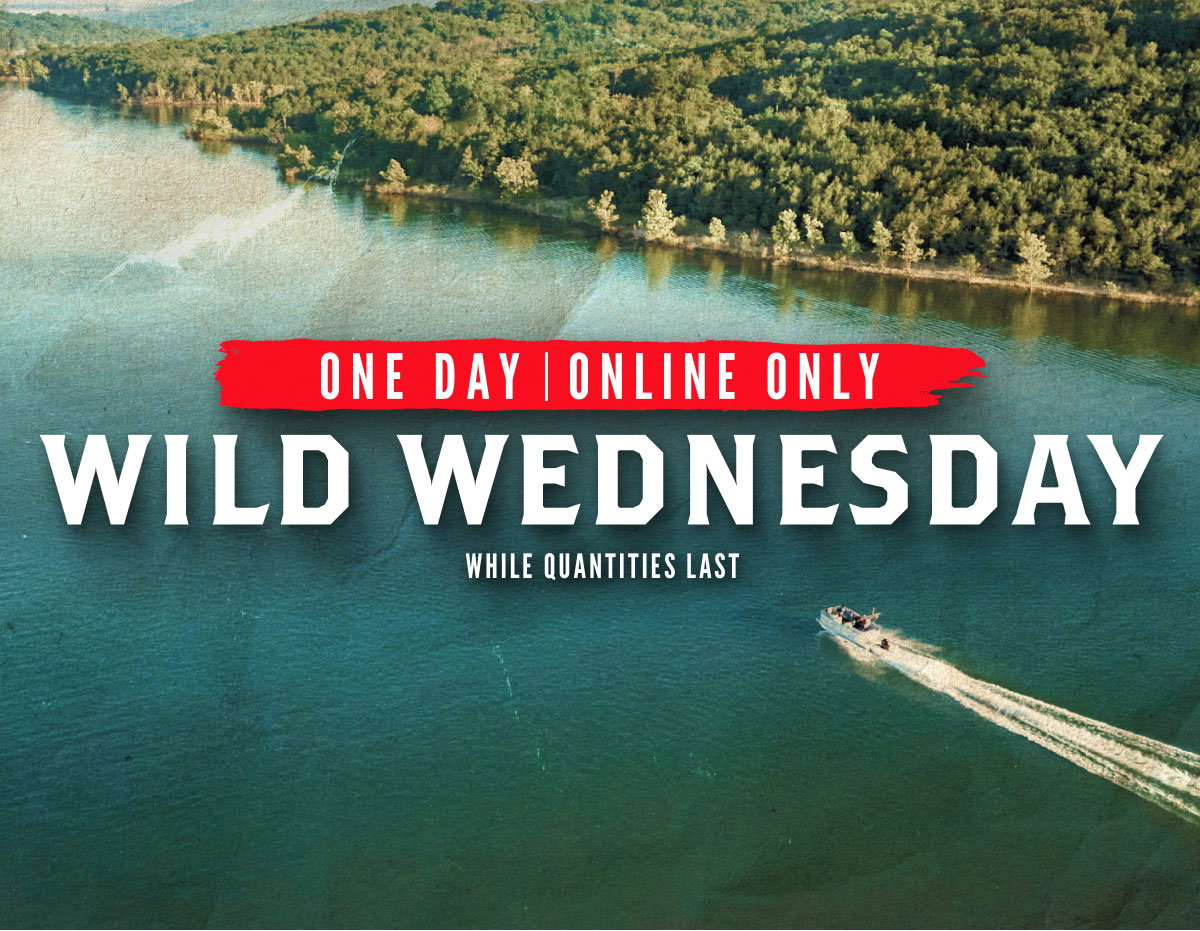 Wild Wednesday