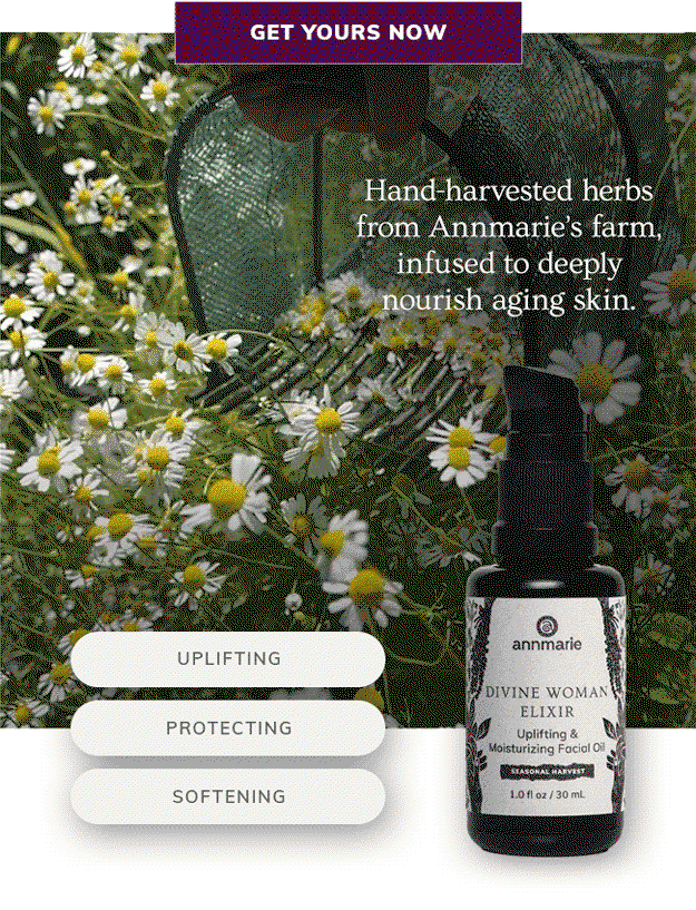 Divine Woman Elixir 2025 Harvest