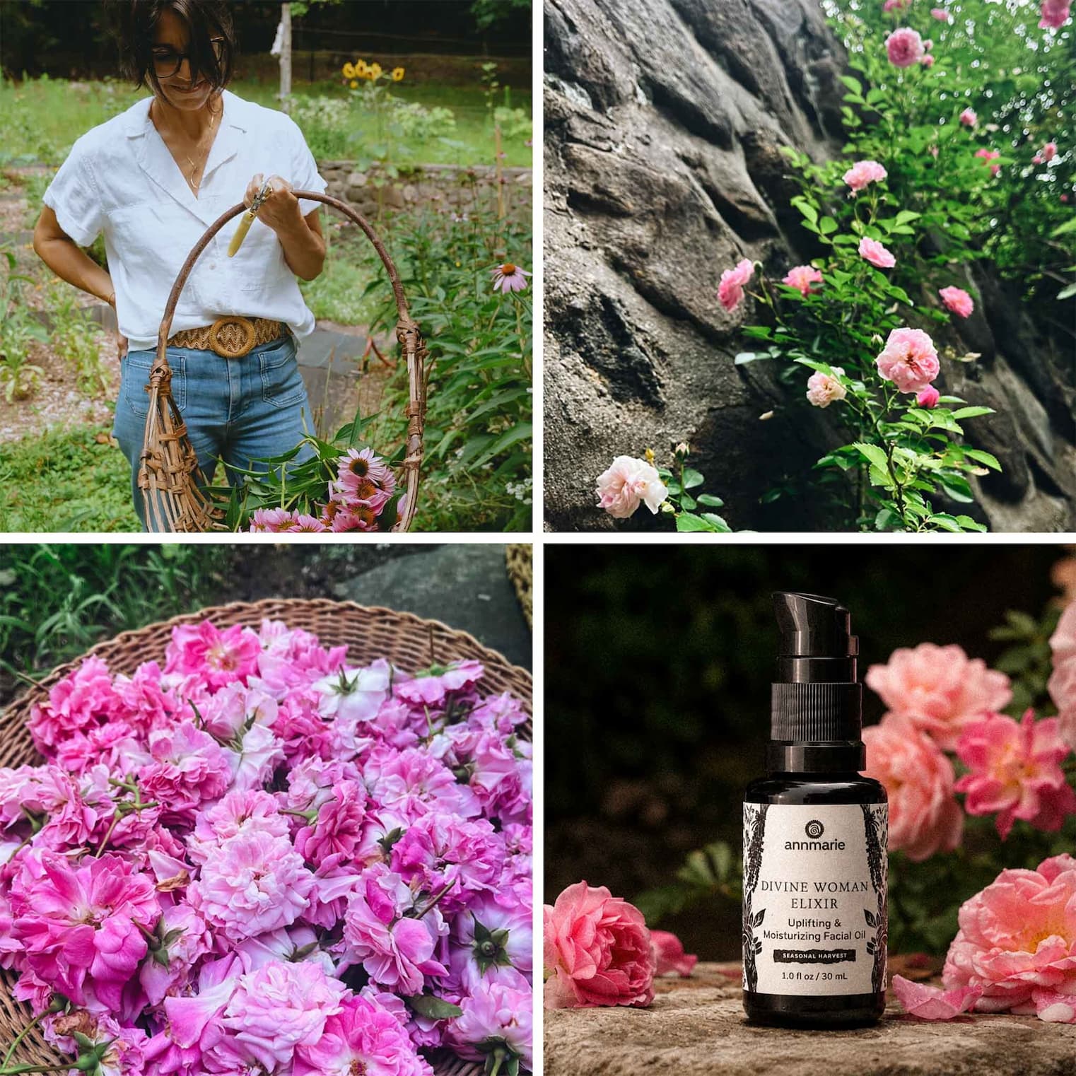 Divine Woman Elixir Ingredients