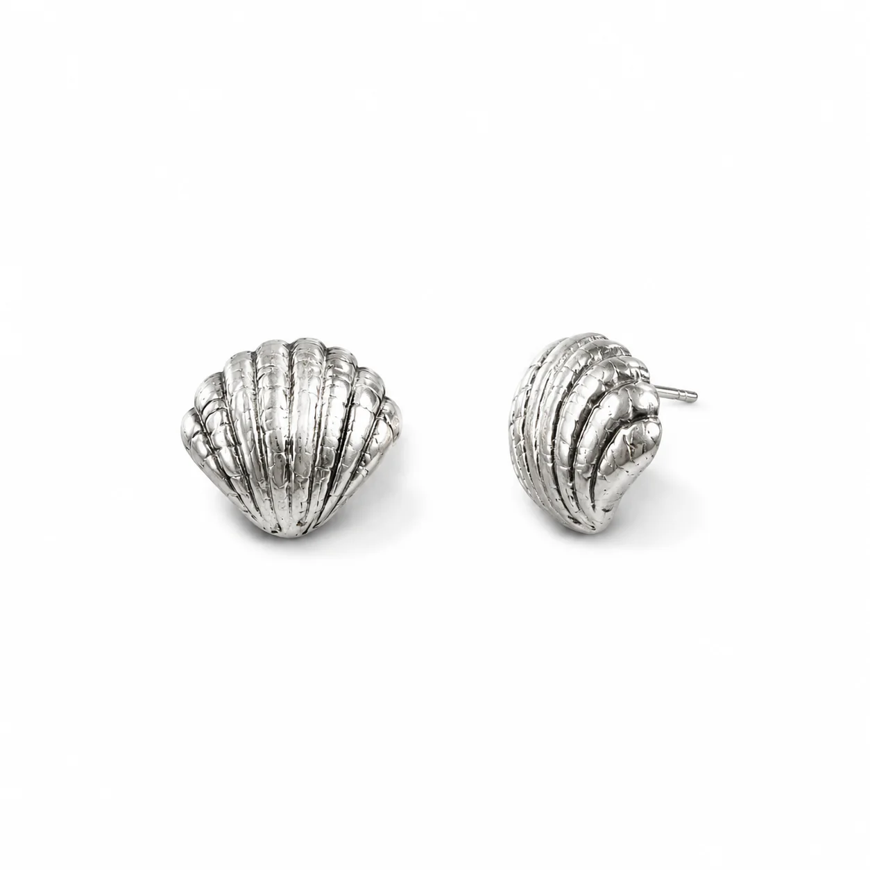 Image of Textured Seashell Stud Earrings