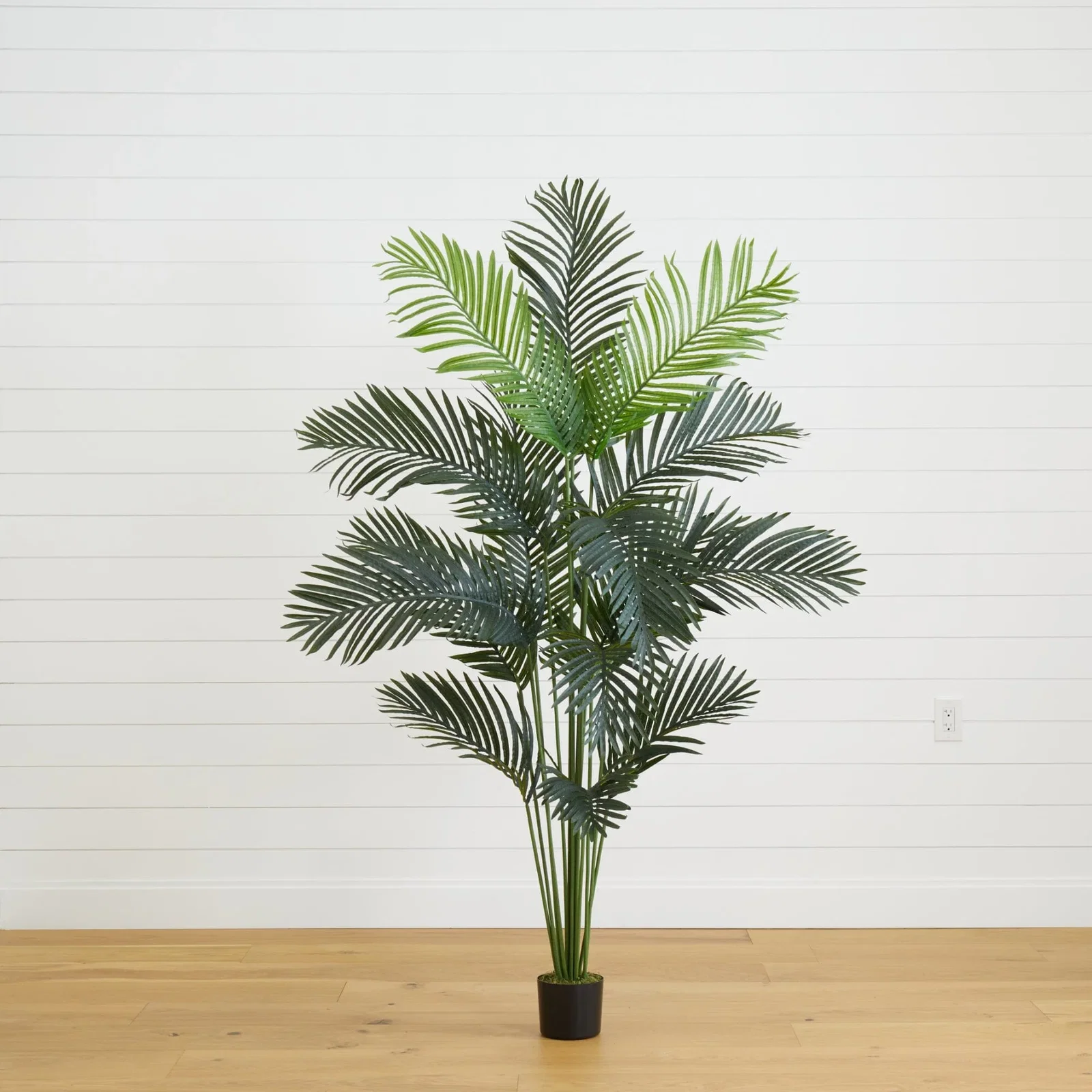 Image of 6’ Artificial Paradise Palm Tree