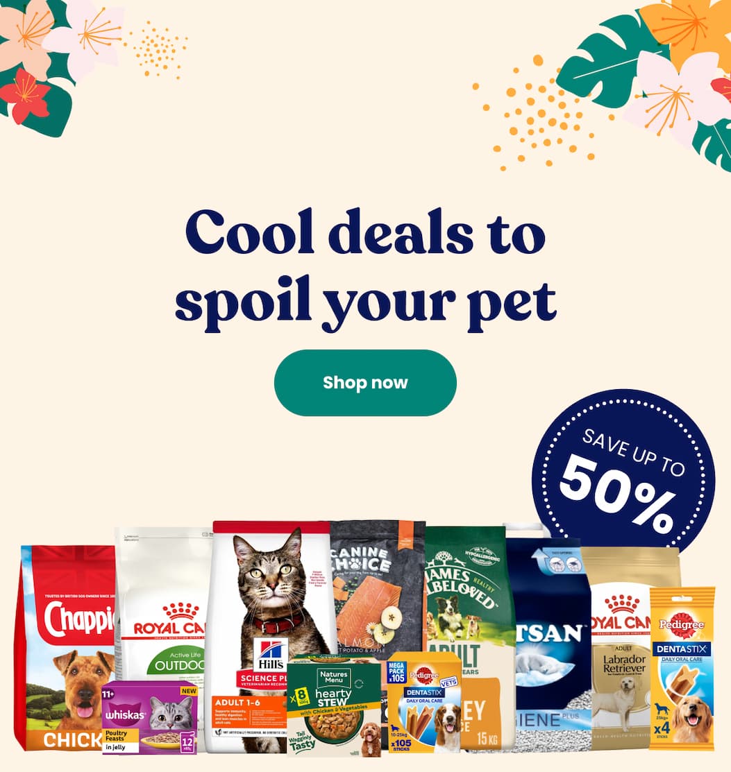 Cool deals to spoil your pet