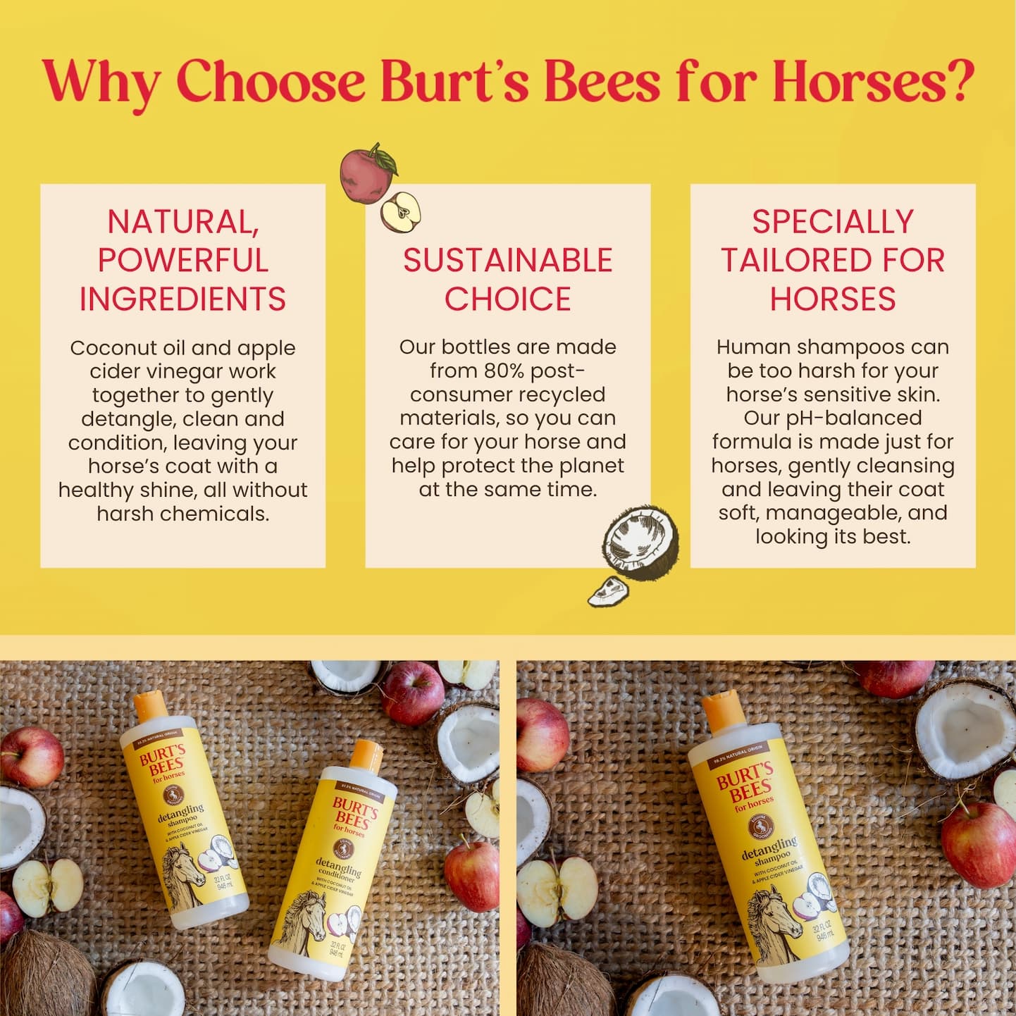 Why choose Burt's Bees for horses