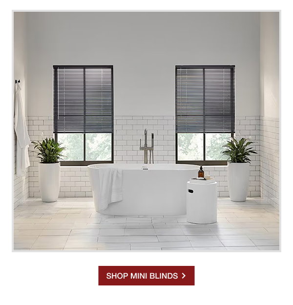 SHOP MINI BLINDS >