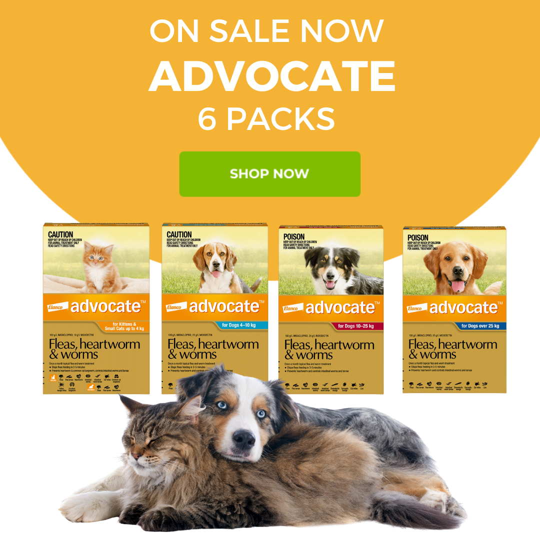 Advocate on sale