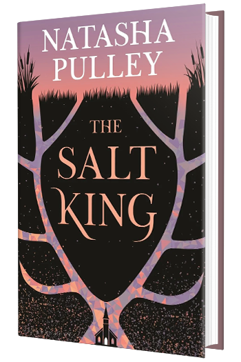 The Salt King