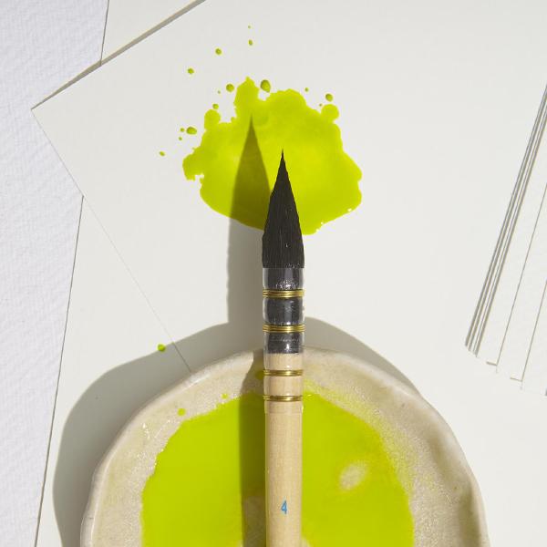 Specialist Brushes