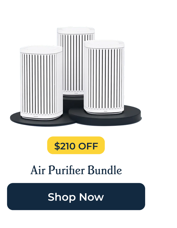 Shop Air Purifier Bundle I $210 OFF