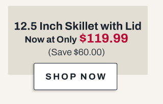 12.5 inch skillet with lid - shop now