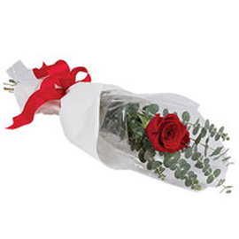 Save on Flowers