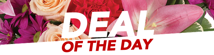 Save 25% Sitewide