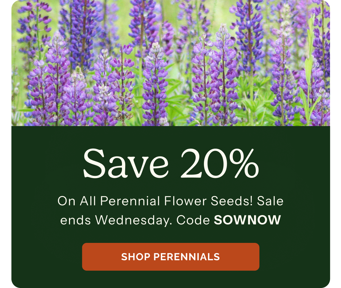 Save 20% on All Perennial Flower Seeds! Sale ends Wednesday. Code SOWNOW