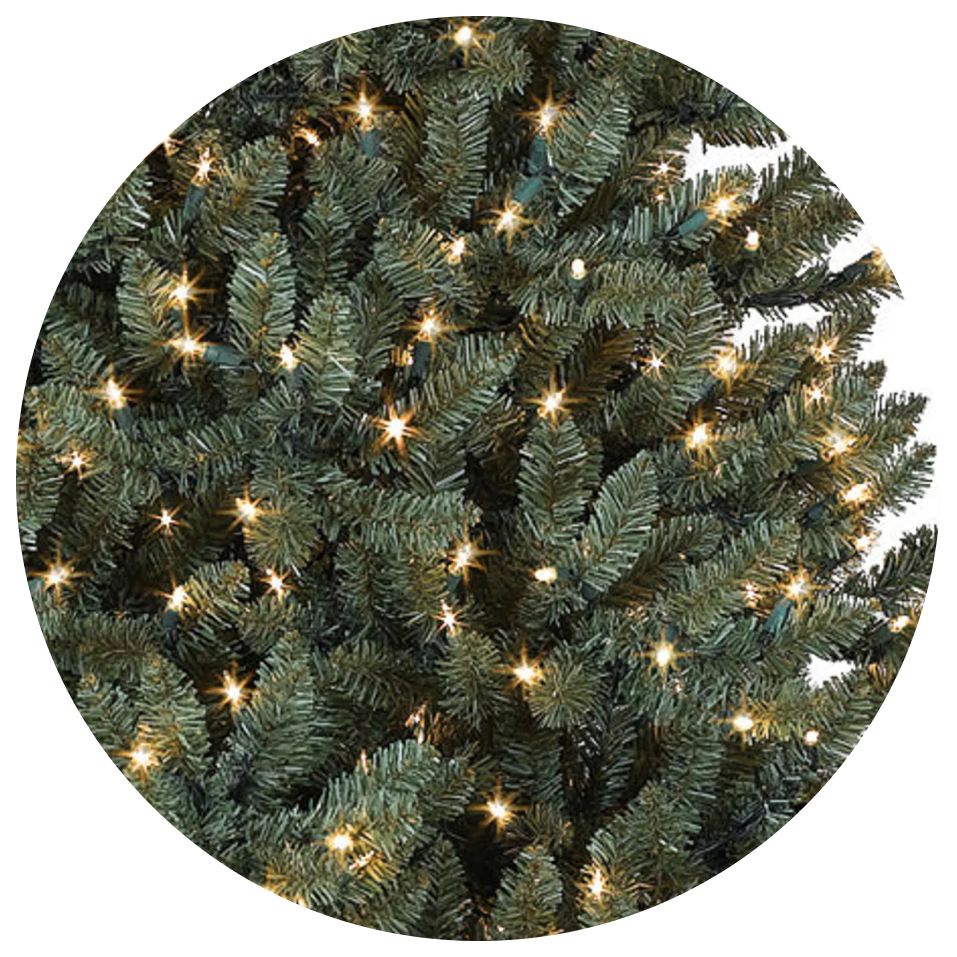 Close-up of Christmas tree branches with warm white lights glowing.