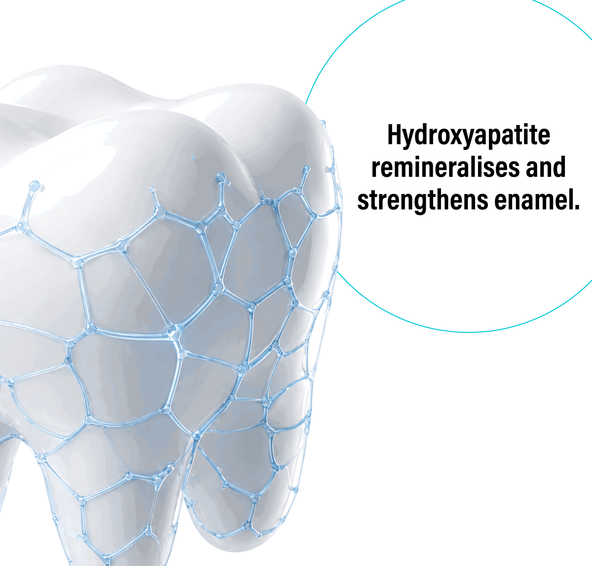 Hydroxyapatite remineralises and strengthens enamel.