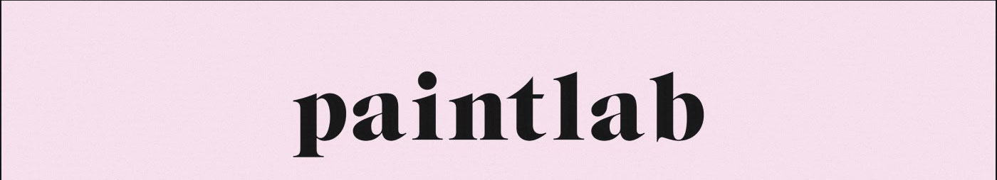Paintlab