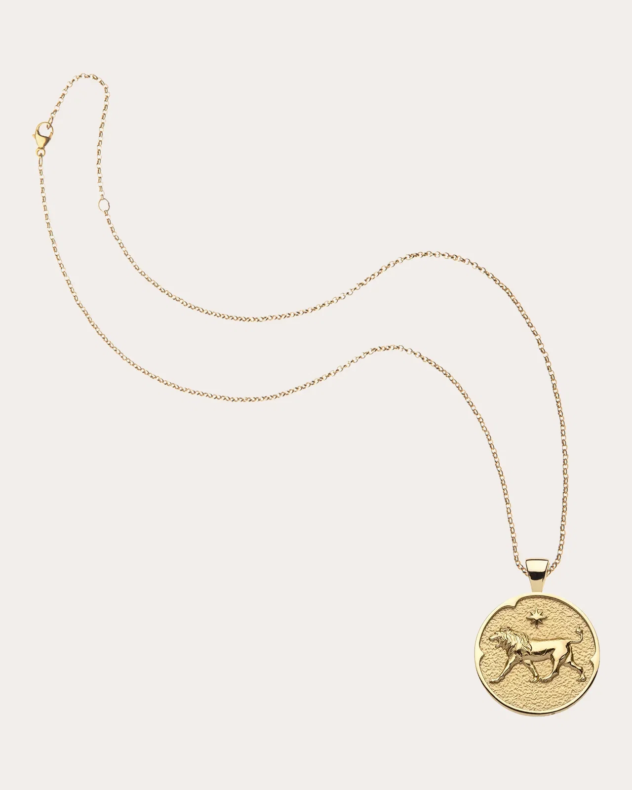 LEO Small Zodiac Coin Pendant Necklace