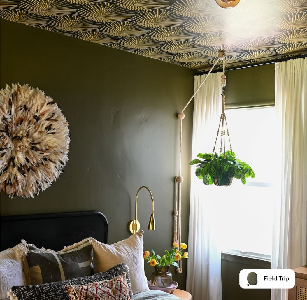 Bedroom featuring dark green paint color Field Trip