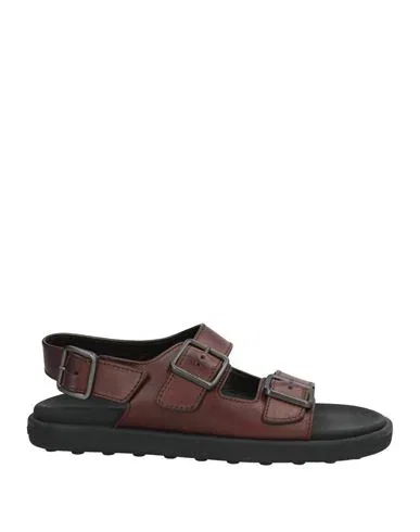 TOD'S
