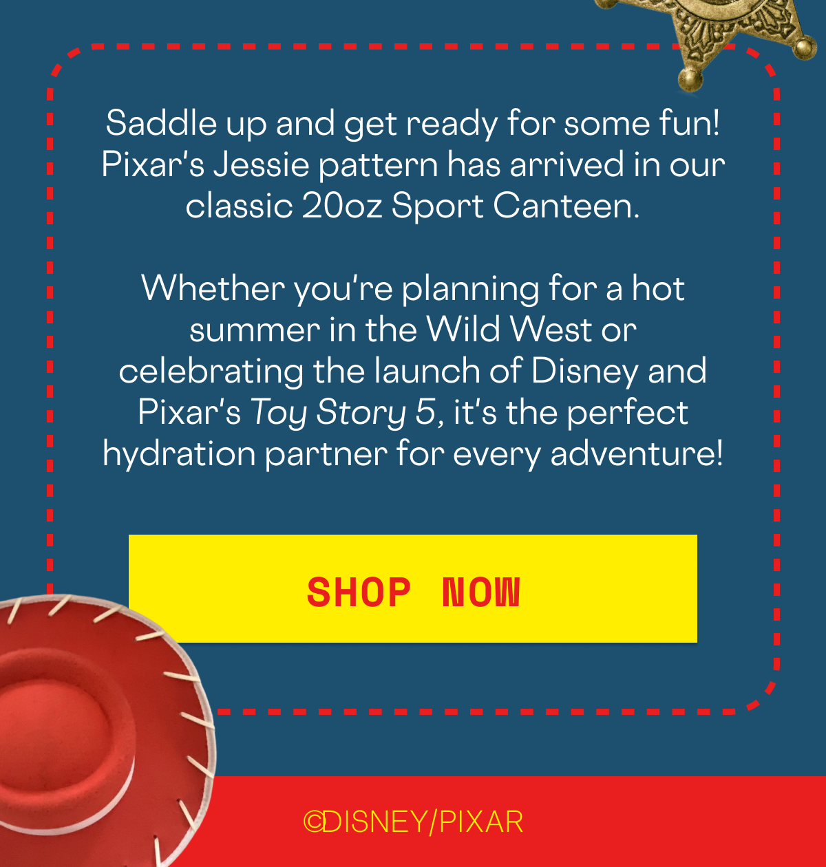 Shop NEW Pixar's Jessie!