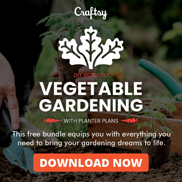 Guide to Veggie Gardening