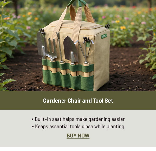 Gardener Chair and Tool Set