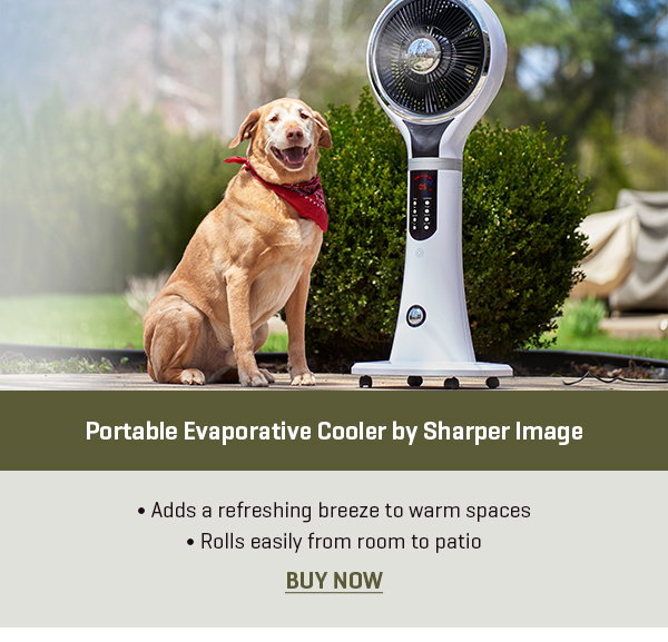 Portable Evaporative Cooler by Sharper Image