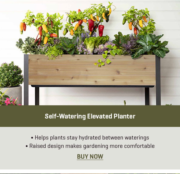 Self-Watering Elevated Planter