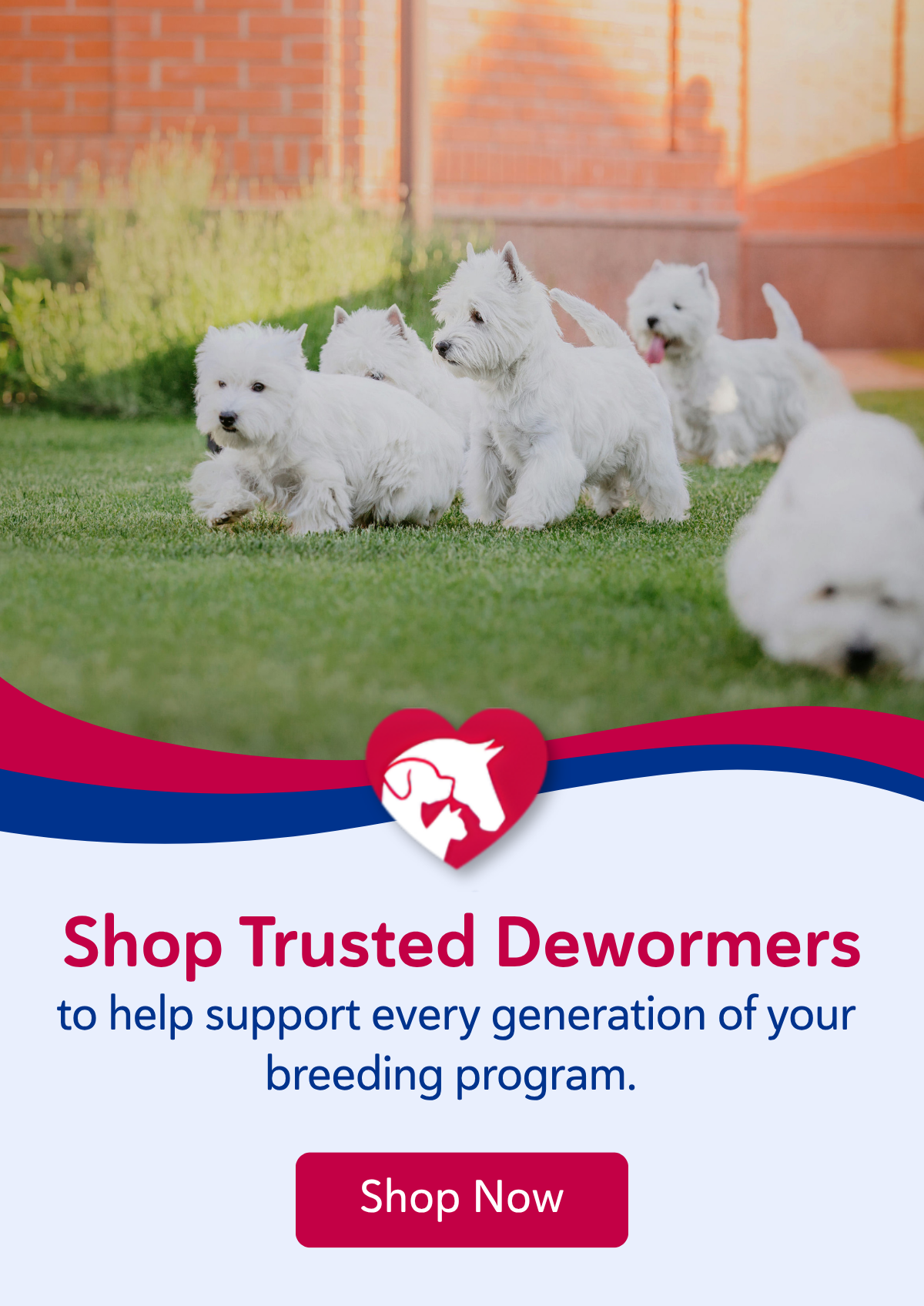 Shop trusted dewormers to help support every generation of your breeding program.