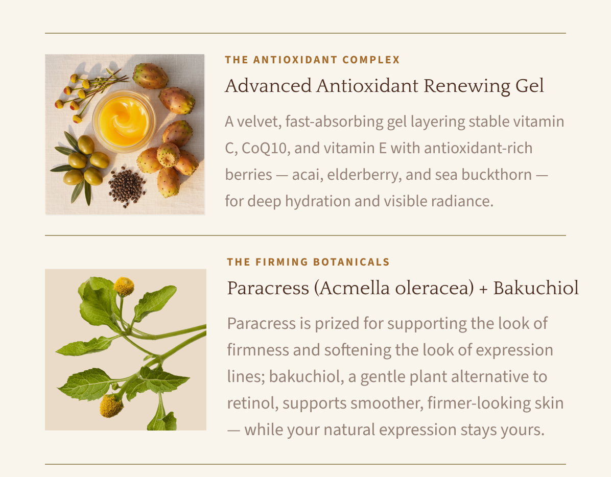 The Antioxidant Complex — Advanced Antioxidant Renewing Gel. The Firming Botanicals — Paracress (Acmella oleracea) + Bakuchiol.